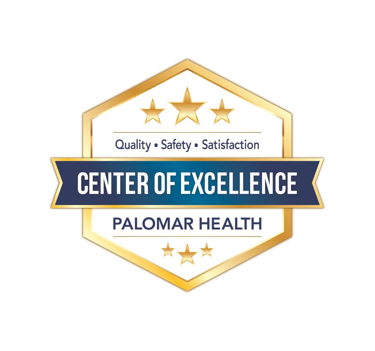 PH-Center of Excellence Seal_FINAL(15)(2) Center of Excellence Seal