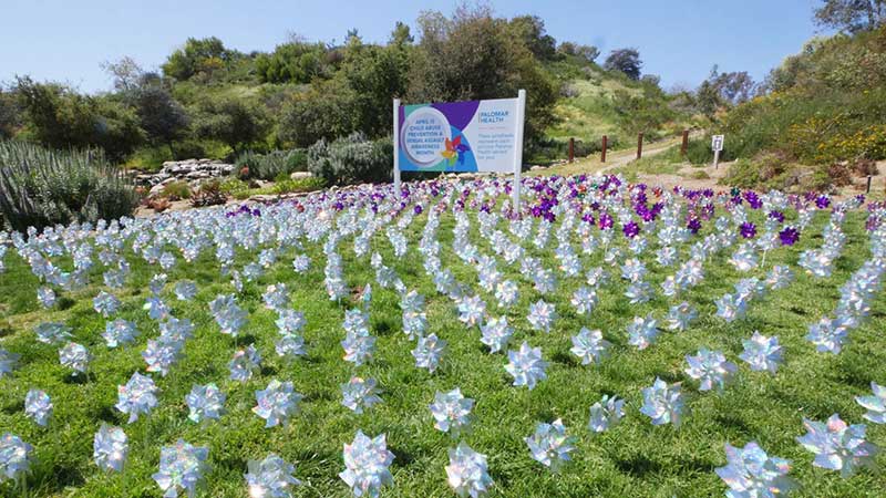 Sign surrounded by Pinwheels